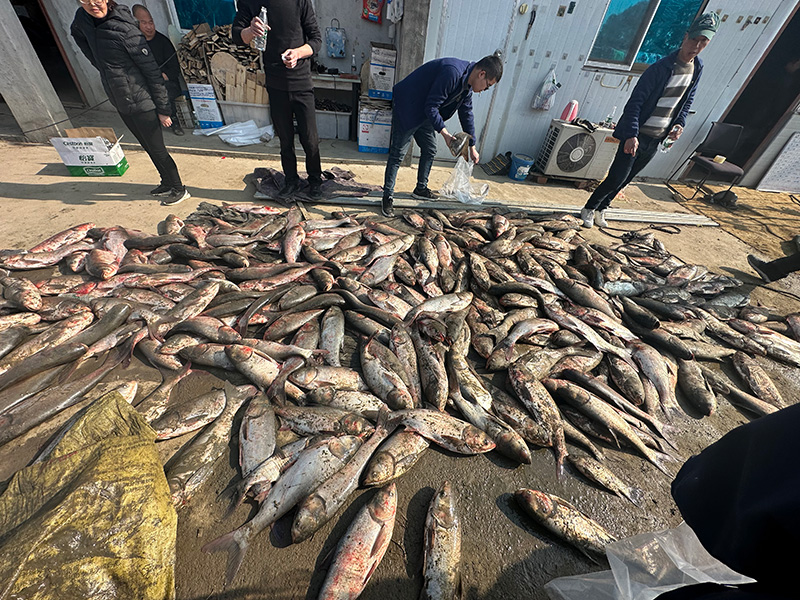 2024捕魚團(tuán)建